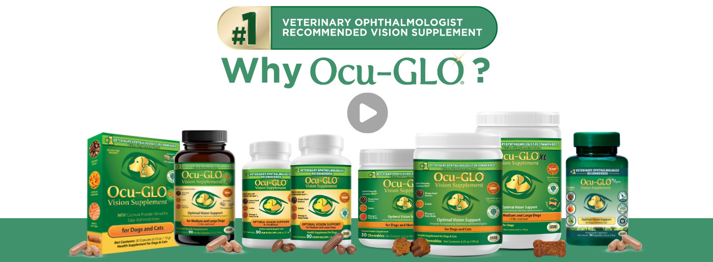 Why Ocu-GLO?
