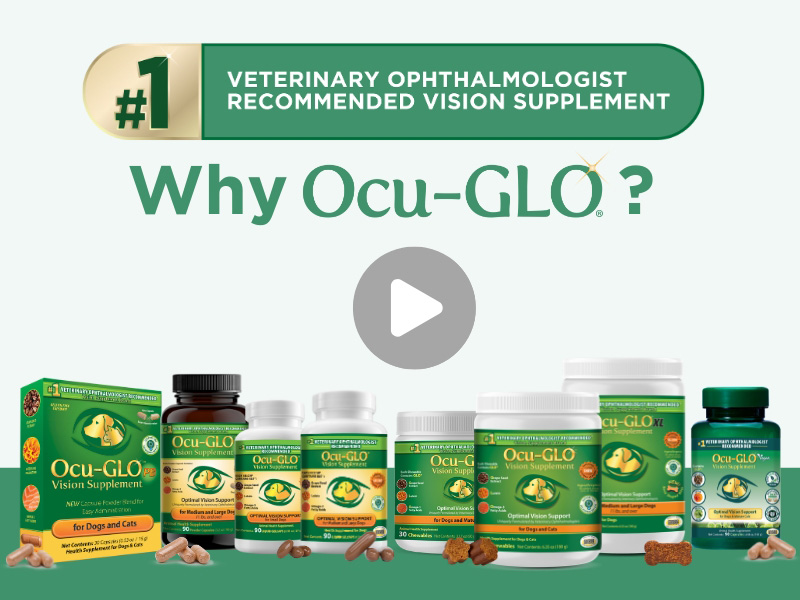 Why Ocu-GLO?